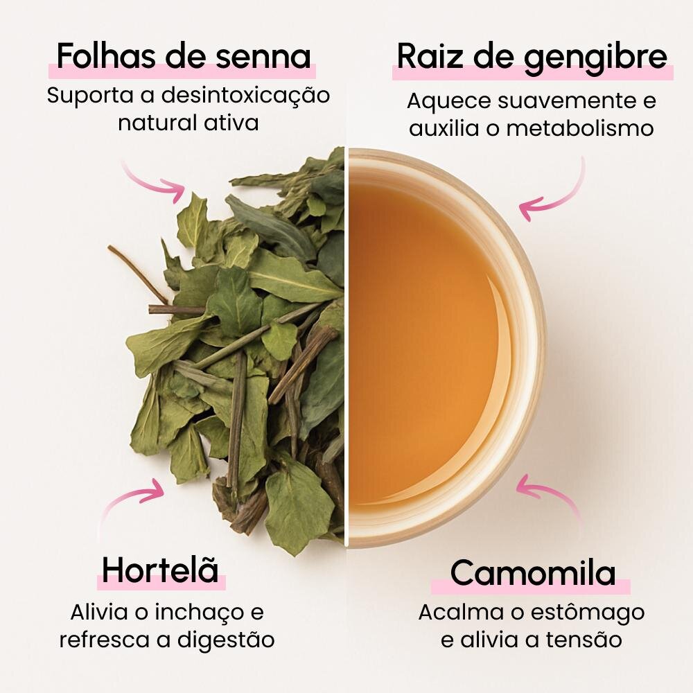Bryo image
